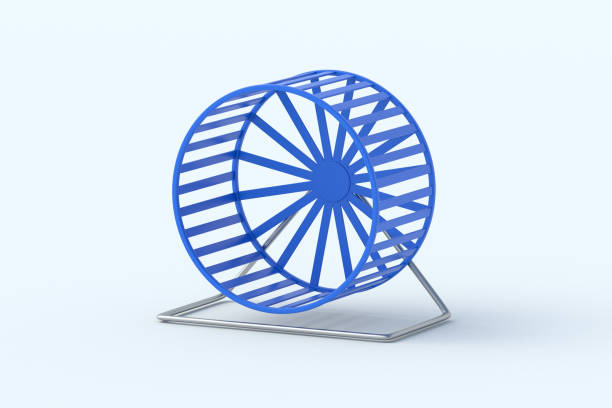 istock Wheel for hamster, rat or other rodents on light gray background. Pet accessory. 3d render 2175559873