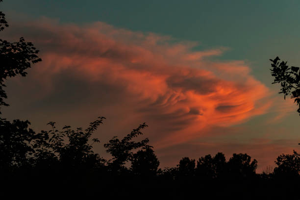PInk clouds at sunset above treetops, Indiana, USA