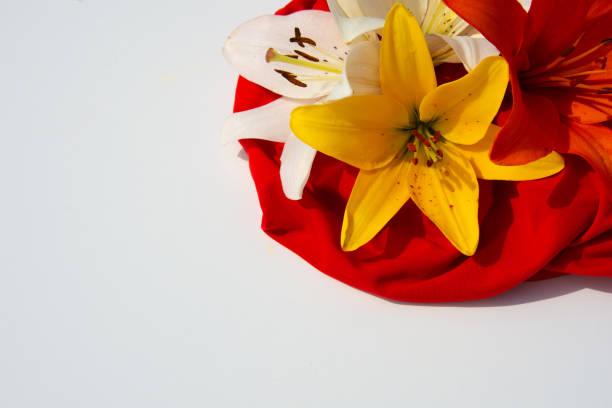 A bright yellow flower stands next to a vibrant pink bloom.