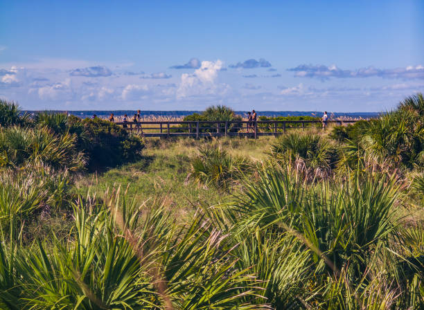 View from the North Beach, Tybee Island Georgia on a partly cloudy summer day with crowds of people and the ocean in the background stock photo