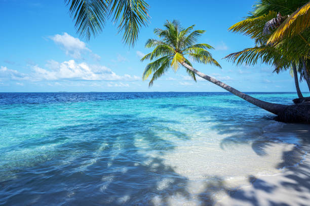 istock Tropical paradise beach scenery for background or wallpaper 2175573175