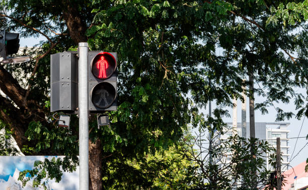 Traffic light icon do not cross the road