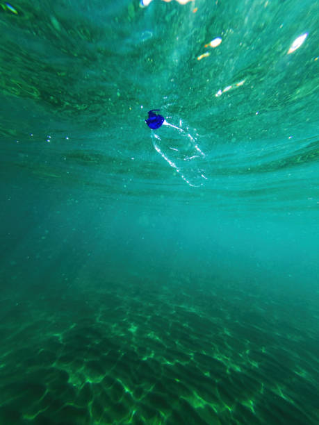istock Discarded plastic water bottle in the ocean 2175578012