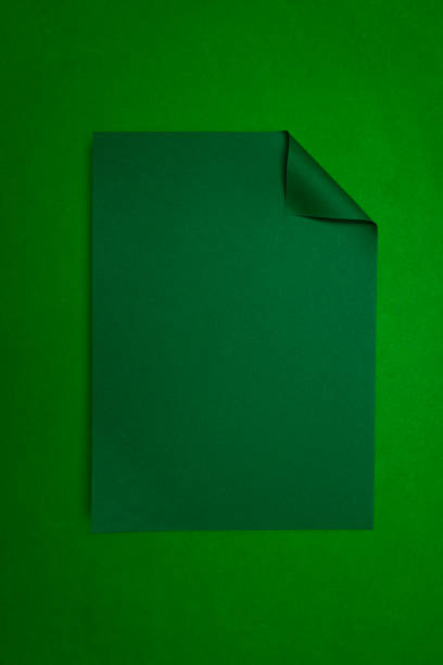 A clean, minimalist photo featuring a single green white sheet of paper with a curled corner, placed against a green background. The simplicity of this image makes it perfect for concepts related to creativity, writing, ideas, blank slates, or fresh starts. Its modern, minimal aesthetic can be used in presentations, advertisements, or design projects.
