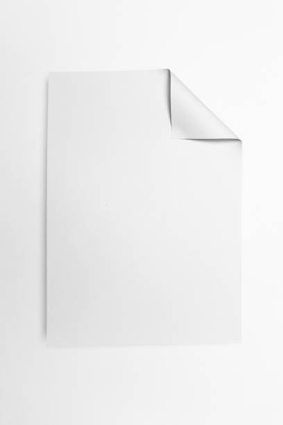 A clean, minimalist photo featuring a single blank white sheet of paper with a curled corner, placed against a white background. The simplicity of this image makes it perfect for concepts related to creativity, writing, ideas, blank slates, or fresh starts. Its modern, minimal aesthetic can be used in presentations, advertisements, or design projects.