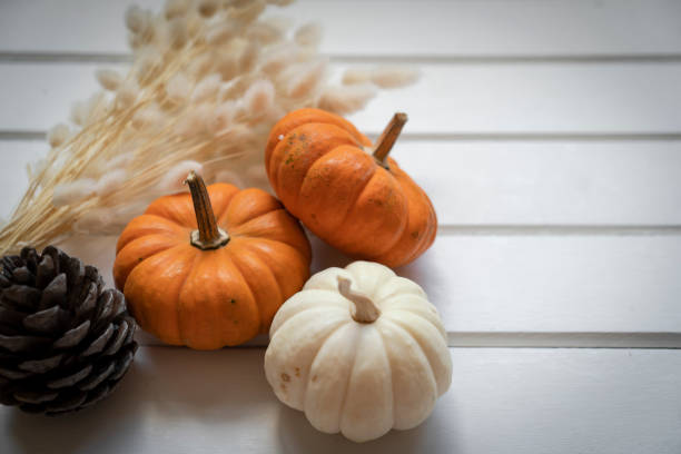 istock Thanksgiving, Autumn background 2175578776