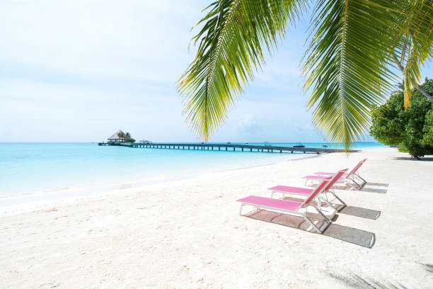 istock Maldives sunny tropical beach with sun loungers 2175581550