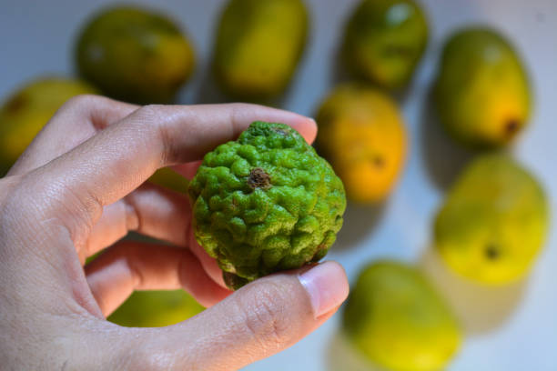 istock Close up of kaffir lime Citrus hystrix 2175581911