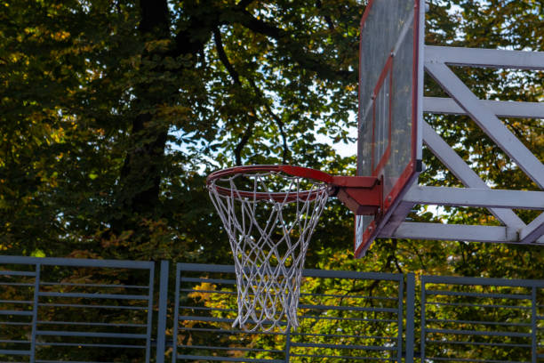 istock Basketball Hoop in Nature 2175583106