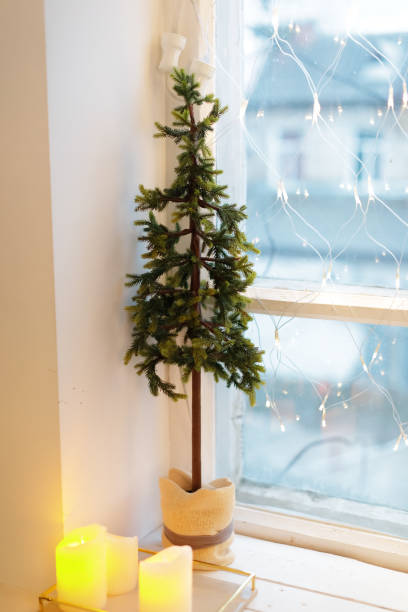 istock small Christmas tree in a pot on the window 2175586653