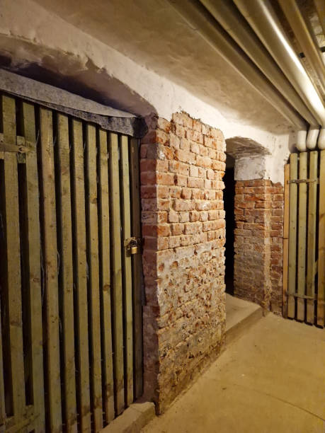 istock Locked cellar door in an apartment building 2175588043