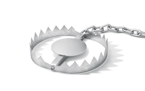istock Open metal trap with chain isolated on white. Clipping path included 2175588149