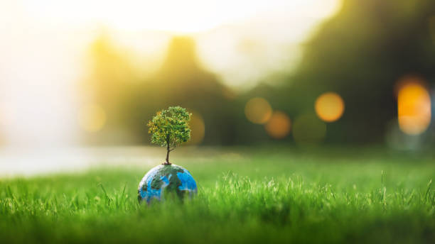 istock Closeup - Earth world with tree on green grass, copy space, Environmental Conservation Concept, Eco planet, Ecology concept 2175589193