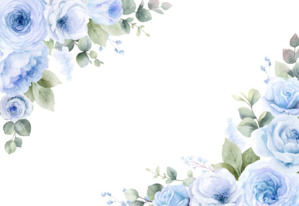 14,900+ Blue Rose Frame Stock Photos, Pictures & Royalty-Free