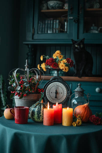 istock Halloween decor with Black cat and pumpkins 2175590143