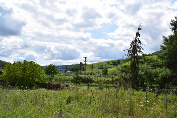 istock wide green Moselle valley 2175590467