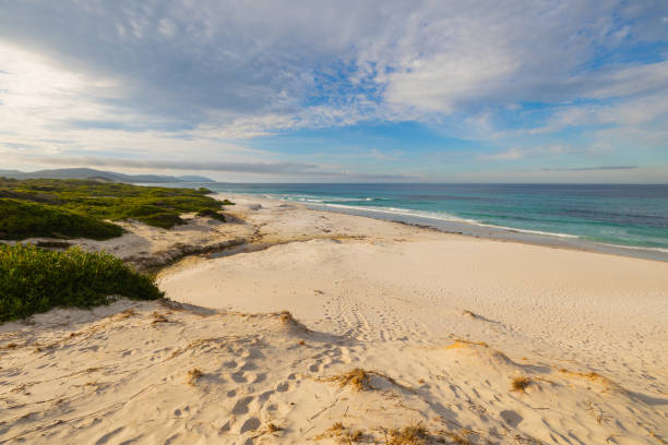 istock Panoramic views across white sandy Friendly Beaches in Tasmania, Australia 2175590892