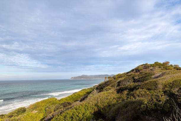 istock Panoramic views across white sandy Friendly Beaches in Tasmania, Australia 2175591489