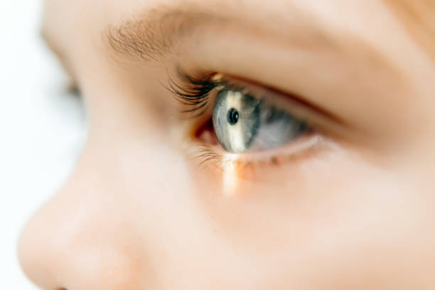 istock Close-up of a little girl with deep eyes undergoing vision diagnostics using a slit lamp in an ophthalmology clinic. A perfect moment highlighting the importance of caring for children's vision. 2175599500