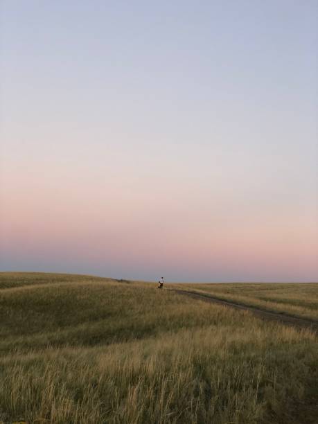 istock father and son in the steppe 2175603729