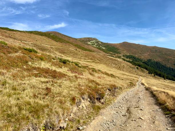 istock Hiking in Romania 2175604057
