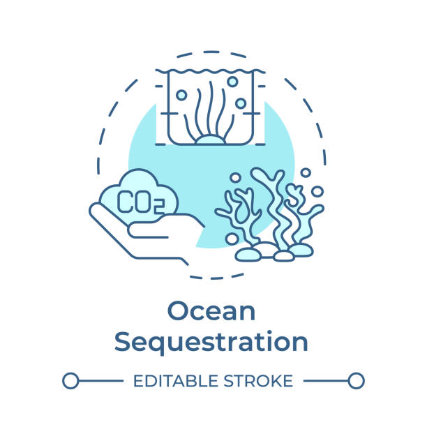 bildbanksillustrationer, clip art samt tecknat material och ikoner med ocean sequestration soft blue concept icon - kolatom