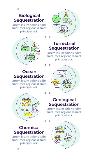 Sequester Example Types Of Carbon Sequestration Infographic Vertical Sequence Stock ...