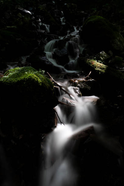 istock beautiful stream of the river 2175613271