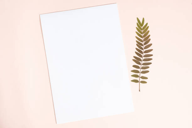 istock Blank Sheet of Paper on Beige Background, Top View, Space for Text 2175613733