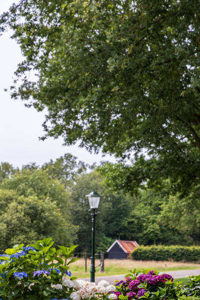 Background with wooden shed, street light, trees and colorful flowers in Drenthe in The Netherlands.