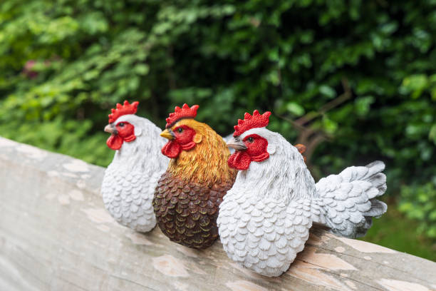 istock Roosters sitting on bench 2175615797
