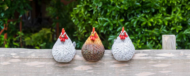 istock Roosters sitting on bench 2175615806