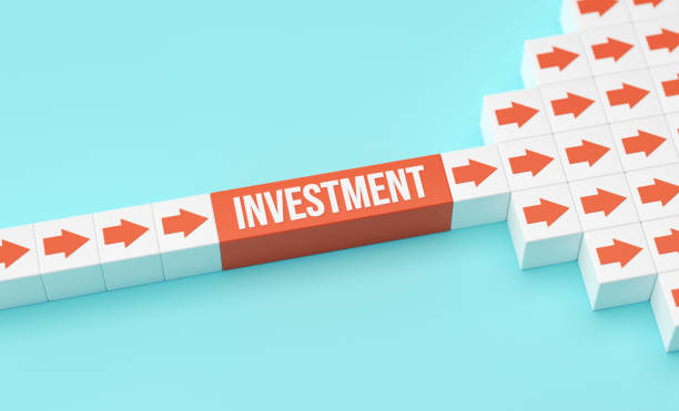 istock Investment And Growth 2175618257