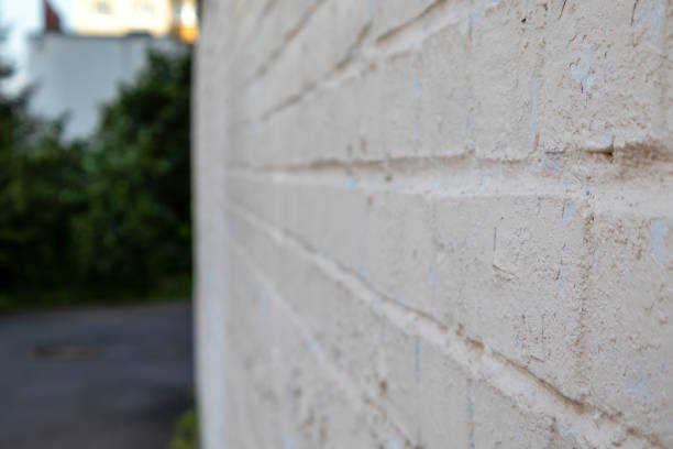 A brick wall with a green bush in the background. The wall is white and dirty