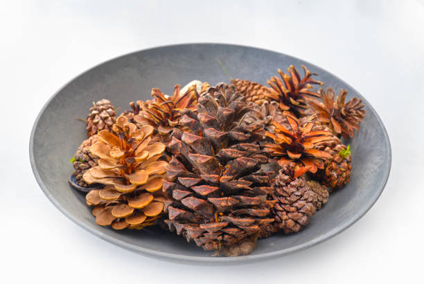 Photo of Cane cones in a ceramic bowl  on white background. Photo taken with a Medium Formate camera. Very detailed and sharp.