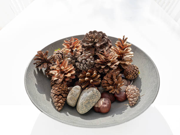 istock Cane cones in a clay bowl 2175627431