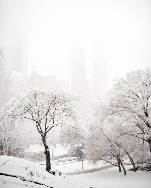 Central Park covered with snow, New York, Manhattan