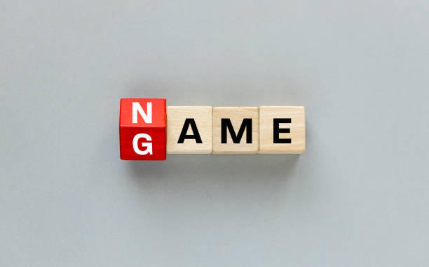 istock NAME and GAME concept. One letter on wooden blocks changes the word Game to name, beautiful gray background. flat lay, copy space 2175644020