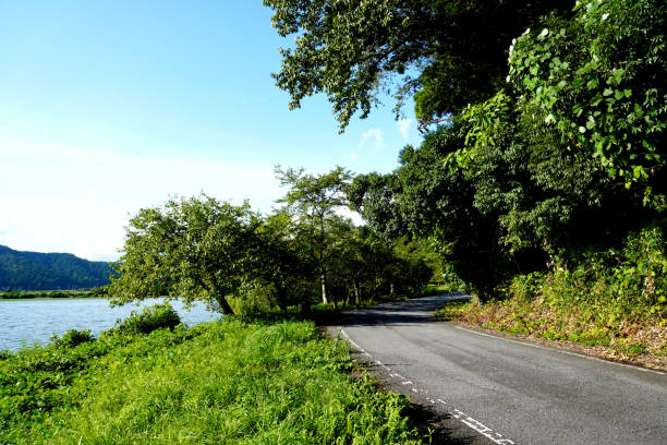 istock Scenery of lakeside road 2175647110