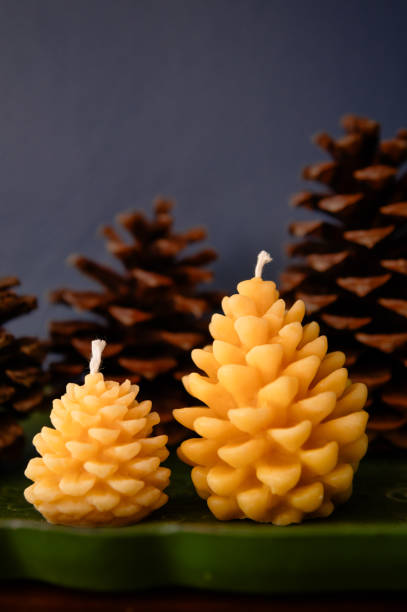 Close-up of a pine cone on a table