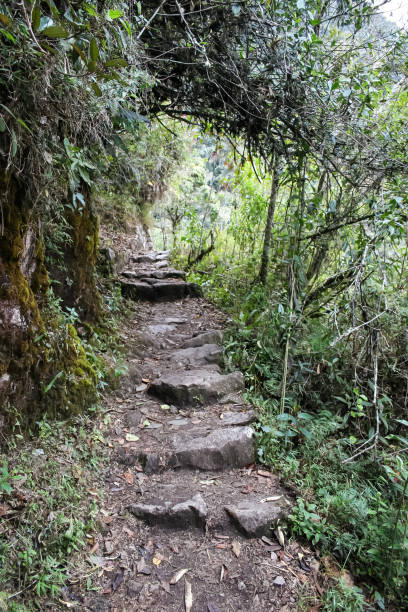 istock A luscious green look down the Inca Trail as it travels through cloud forest approaching Machu Picchu 2175648332