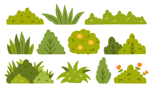 A set of bushes of various shapes isolated on a white background. Vector hand-drawn illustration in a flat style. Perfect for cards, decorations, logo, various designs.