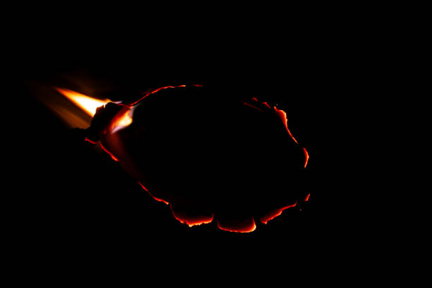 White candle burning with orange flame on black background.