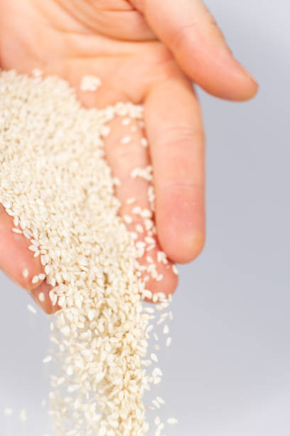 istock Hands pouring white sesame seeds on gray background 2175652093