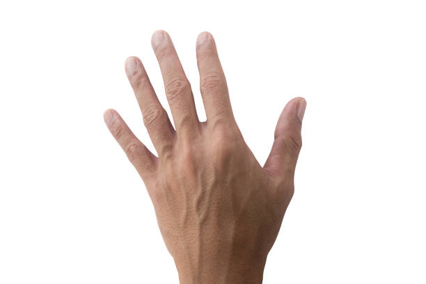 istock Close up asian thin hand with blood vessel 2175654364