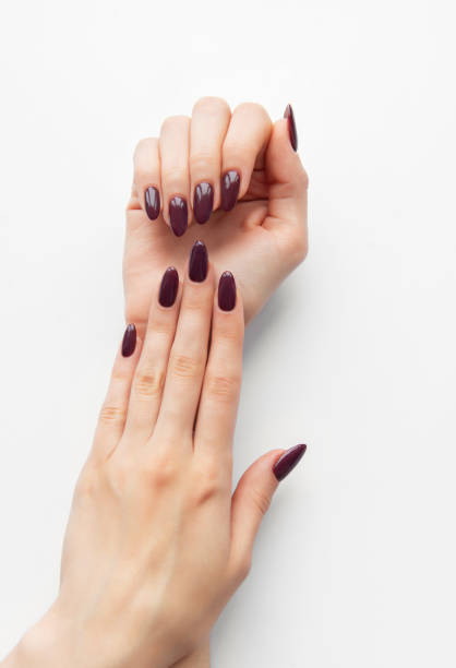istock Elegant hands showcasing deep purple nail polish against a clean white background during a beauty or grooming session 2175656619