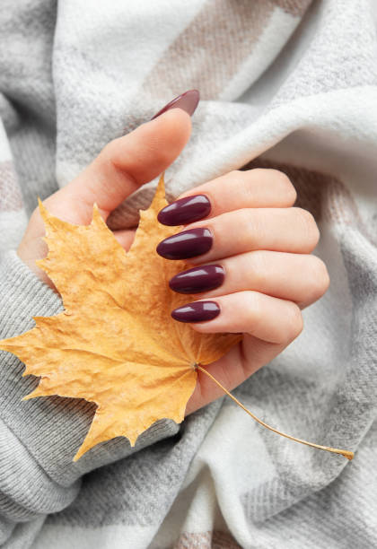 istock A hand holding a vibrant autumn leaf rests on a cozy plaid blanket during a serene fall afternoon 2175656714