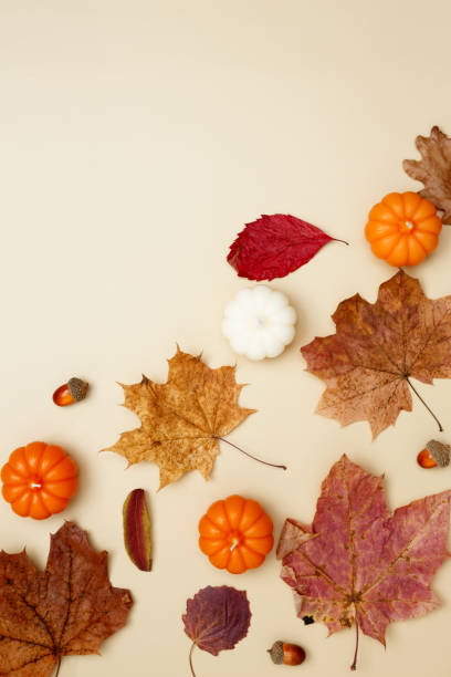 istock Autumn composition with maple leaves, decorative pumpkins and candles. Top view. Copy space 2175660614