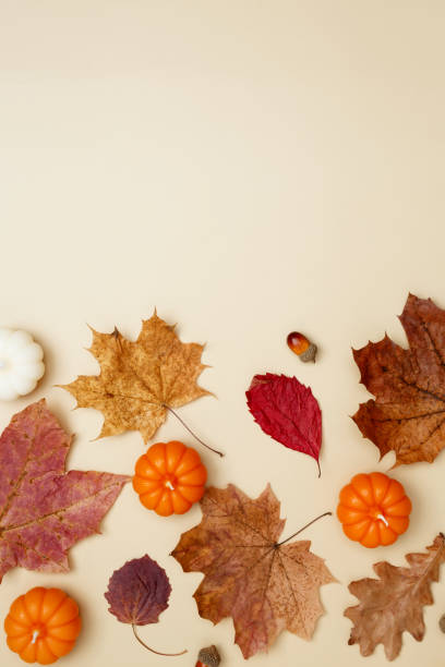 istock Autumn composition with maple leaves, decorative pumpkins and candles. Top view. Copy space 2175660628