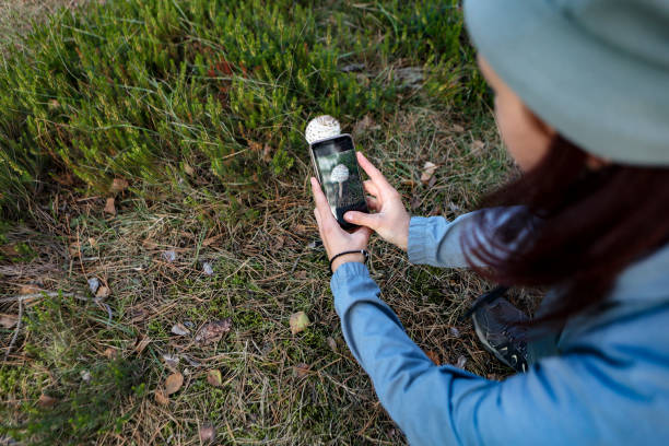 istock Young woman photographing a mushroom 2175664663